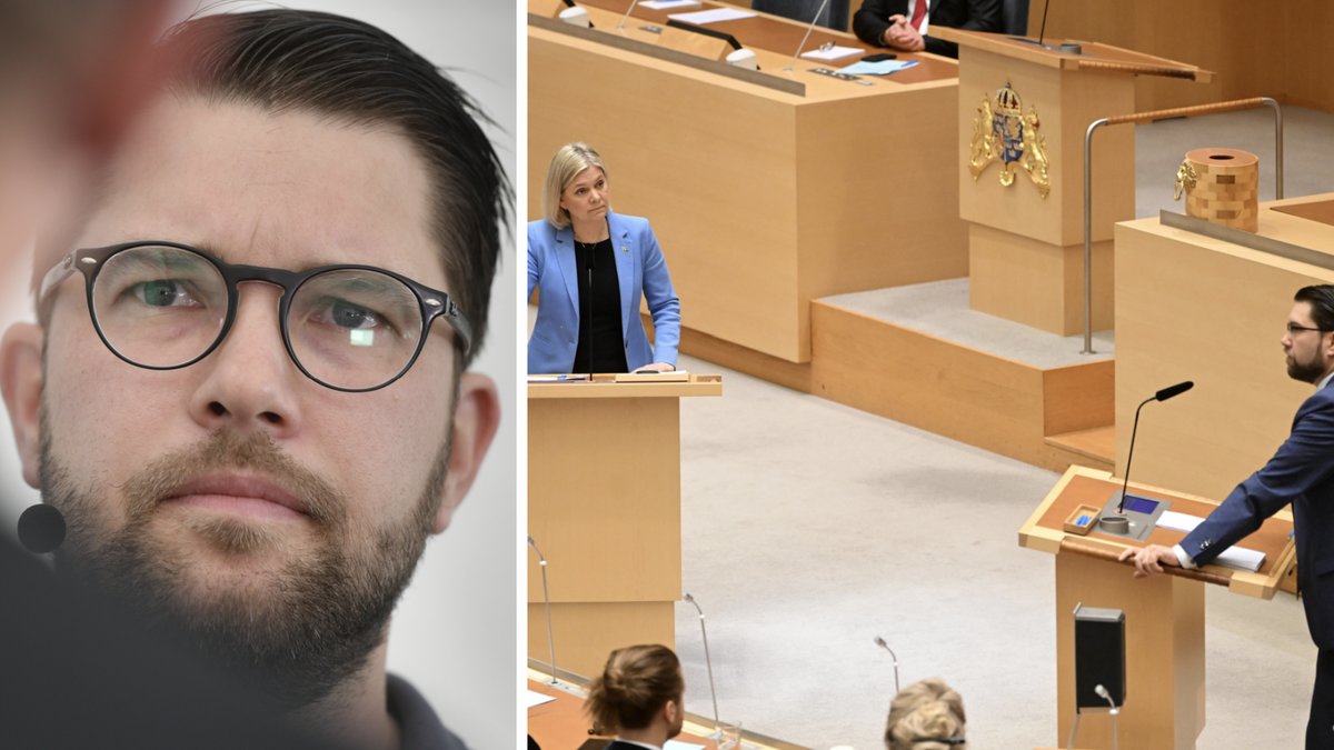 SD bryter mot löfte: "I Sverige har vi öppenhet och transparens"